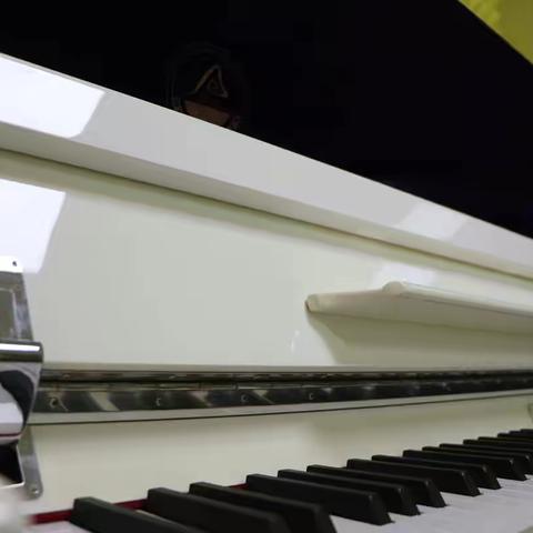 大姚县艺海琴行艺术培训学校