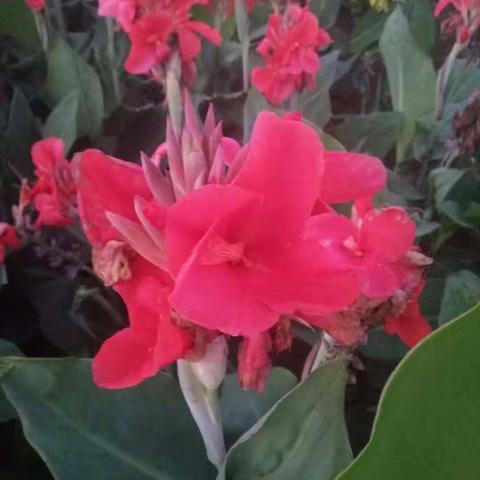 家乡洋河公园的北路