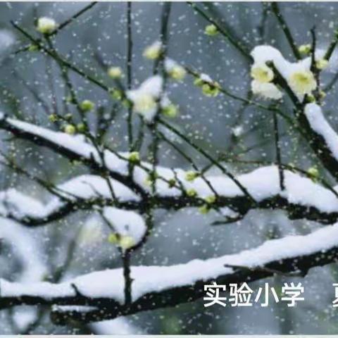 诗韵课堂，“雪梅”精神