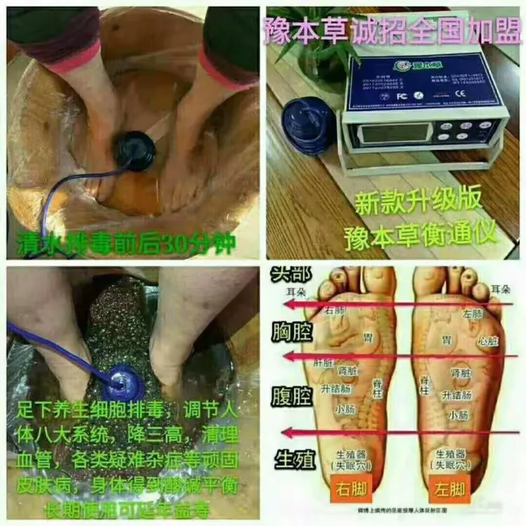 兴筹公司经营的豫本草衡通仪的功效与作用