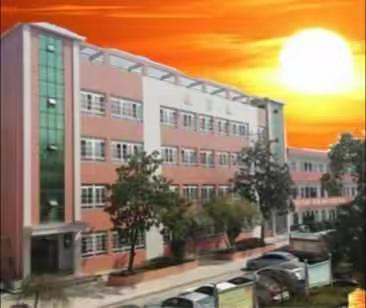 网络教学       探索前行一一杨叶中学空中课堂周记六