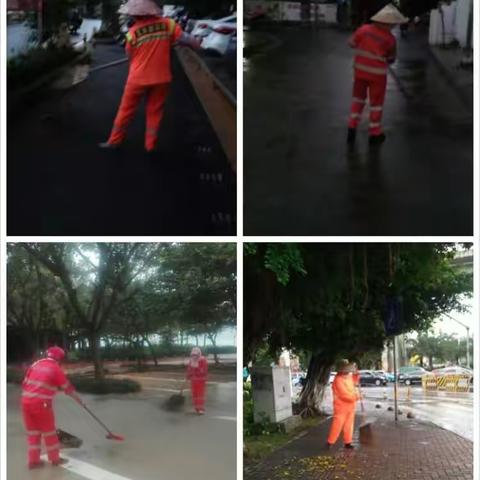 风雨中的坚守：为了城市的洁净美！——市环卫系统11月23日工作日报