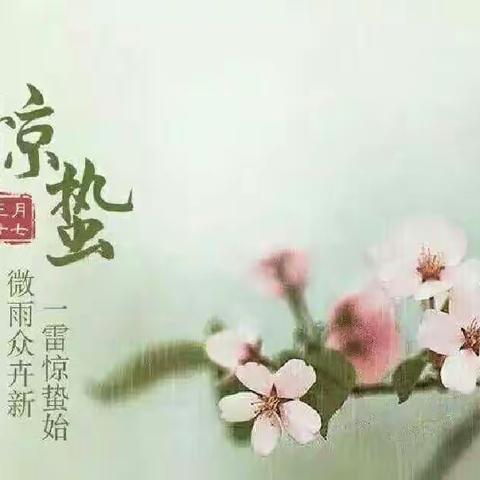 雨催惊蛰候     风作勒花开——浐灞第五幼儿园“惊蛰节气”主题活动