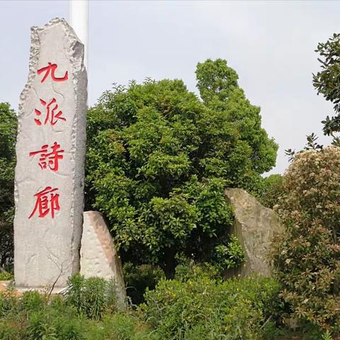 荡漾在“九派诗廊”