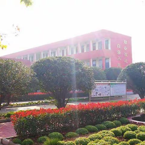 教学工作从教学常規做起一一轵城三中十一月教学常規展评记实