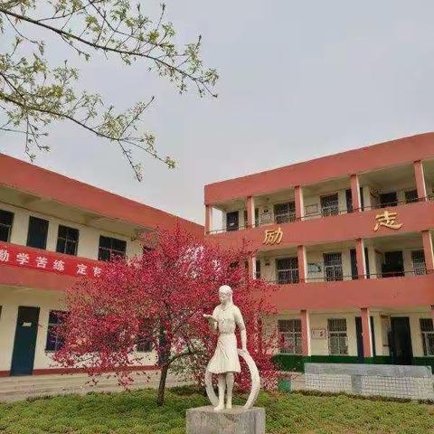 一枝粉笔书情怀