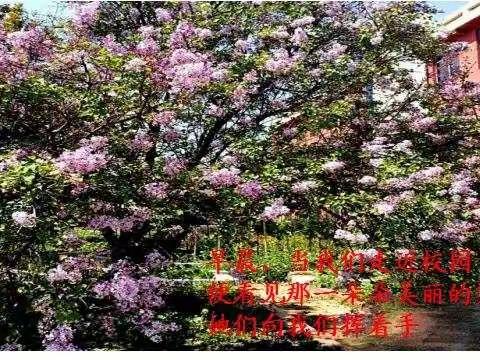 方寸天地，独具匠心一一记轵城三中教师板书风彩