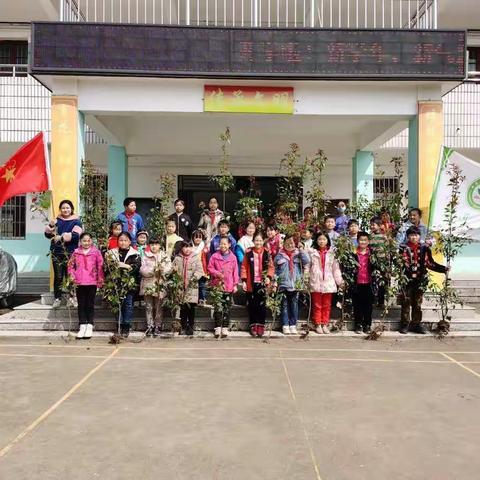 春意盎然，让绿色常驻校园           ---晏河小学植树节活动报道