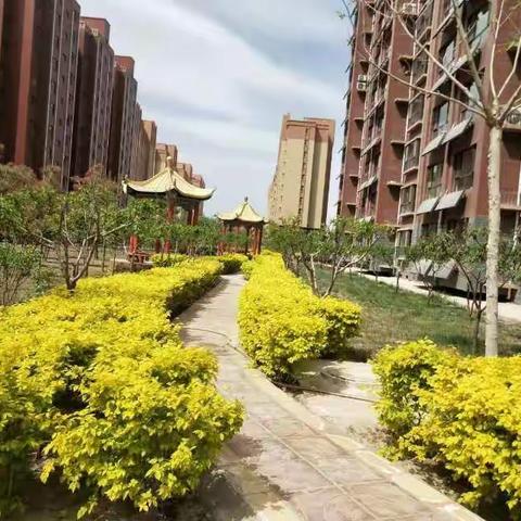 中瀛御景恒达B区4月份工作简报
