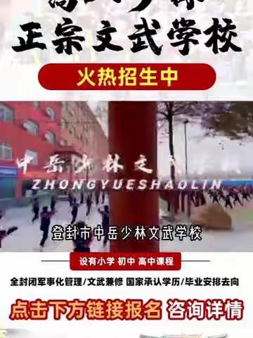 登封市中岳少林文武学校