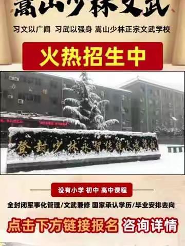 嵩山少林传统文武学校2022年招生简介