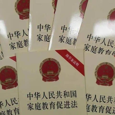 学习《中华人民共和国家庭教育促进法》——高二二班班会篇