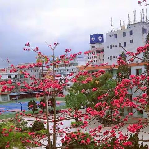 春暖花已开，惠东县平山第一小学喜迎学生复学返校