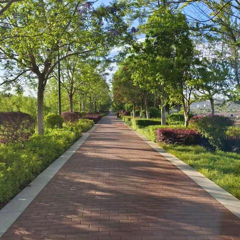 自然风光——清晨一缕阳光