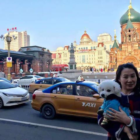 小哈比在哈的足迹