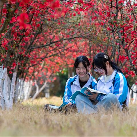 重分析、鼓信心、明方向——旺苍县七一中学2022级召开期末综合素质测试分析会