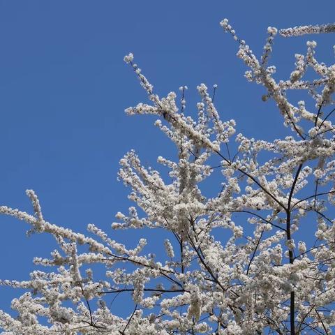 【阅读品书香，分享共成长】——旺苍县七一中学涌泉读书会阅读分享（一）