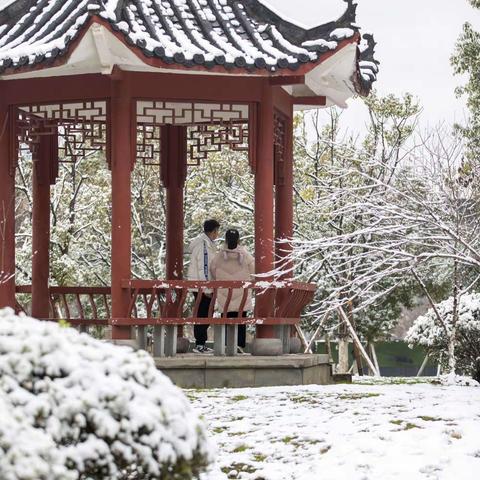 瑞雪报春