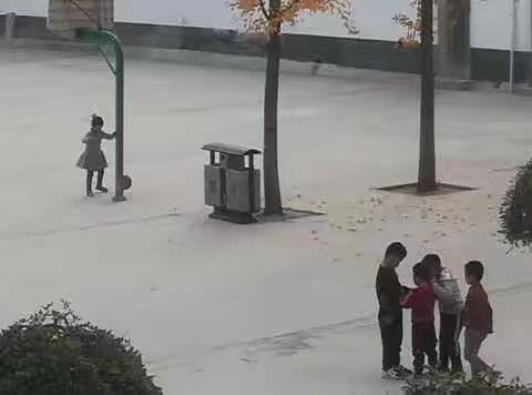 工作求精细，教育重温情——二小北校大河头校区第八周工作汇报