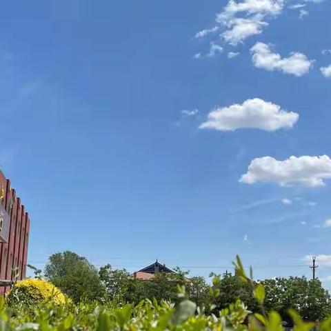 落实科学培训，助力专业成长。——灯塔市张台子镇中心小学科学学科线上培训纪实