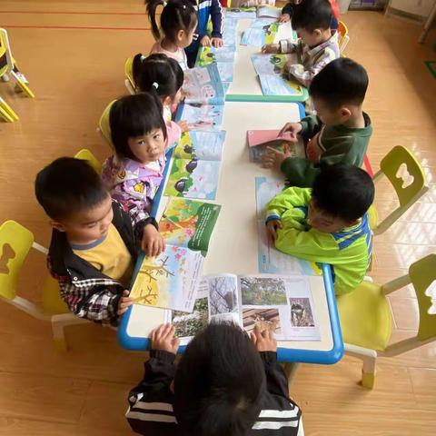 ✨✨兴华附属幼儿园✨