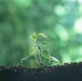 瑞丁国际实验幼儿园“五一劳动节”活动倡议