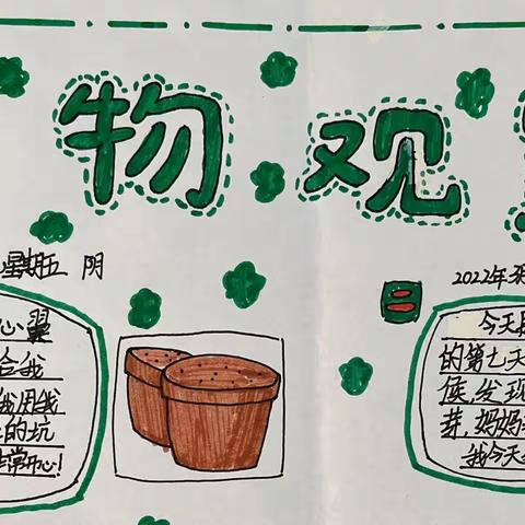 春天里的承诺——长湖乡中心小学探索植物生长之旅