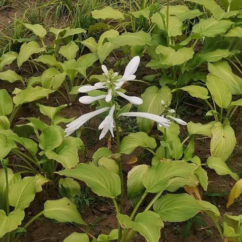 湿地公园一日游