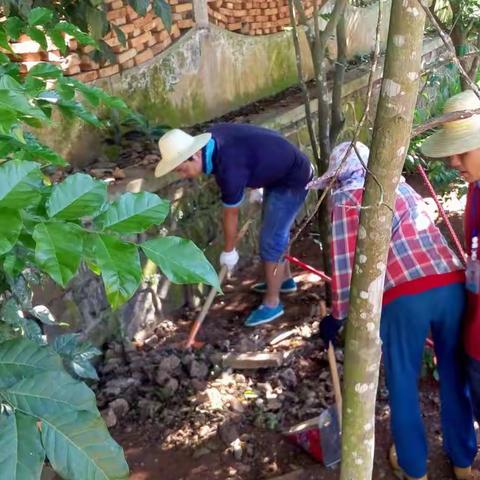 大坡镇6月24日农村生活垃圾治理工作日志