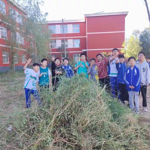 骆庄小学劳动课——拔草