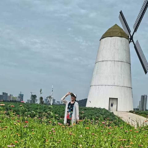 月亮岛公园看花