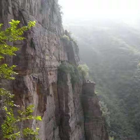 2022年，我这样走过