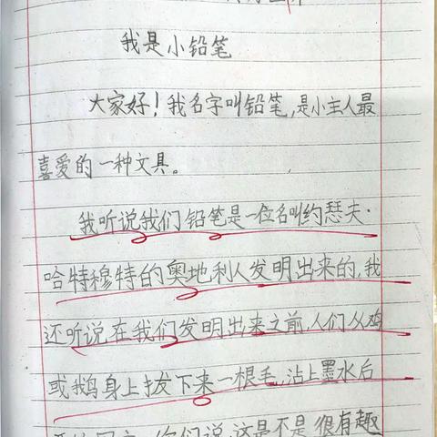 缤纷世界真奇妙   用心观察收获多