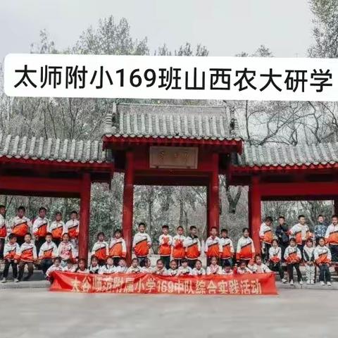 探索地域文化  感受家乡之美