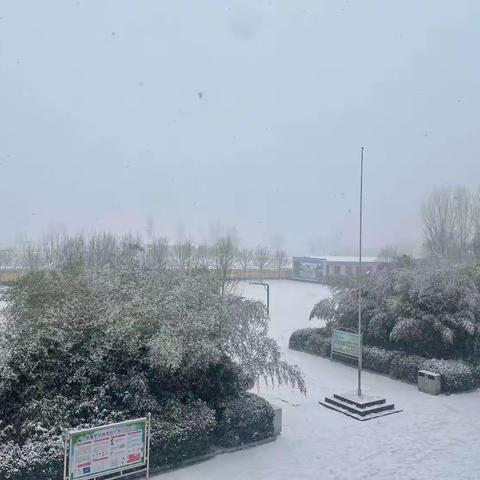 【感谢有你们】—家长自发扫积雪 浓浓温情暖校园