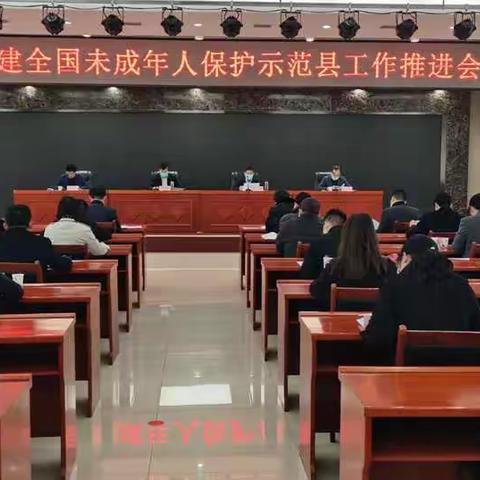 合阳县召开全国未成年人保护示范县创建工作推进会