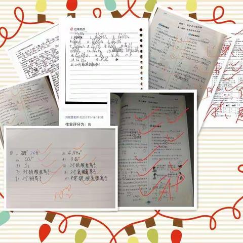 化学备课组11月作业批改情况检查反馈