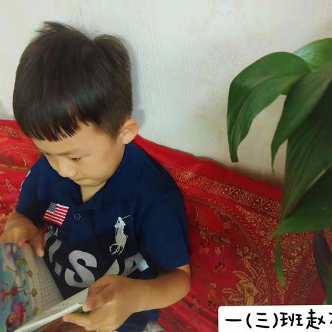 博雅小学金豆子书屋