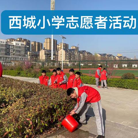 志愿者活动