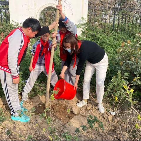 西城小学植树节活动