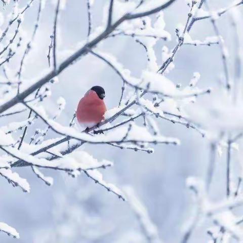 我的小宇宙在成长——小3班幼儿自我服务测评活动