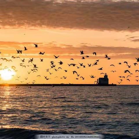 扬帆起航正当时——记安师大附外城东校区102班暑期读书展示活动