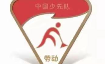 礼赞劳动者 勇争劳动章||南靖县实验小学劳动节主题活动闪光彩