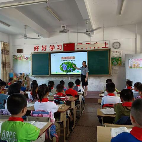习作课例《我的植物朋友》