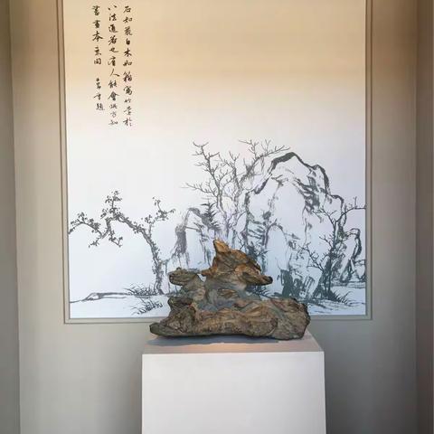 和学生一起故宫博物院观趙孟頫书画特展、视觉盛宴不容错过的大展