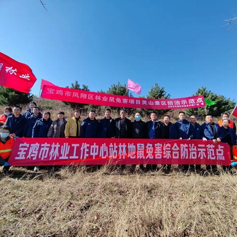 凤翔区森防站建立鼠兔害防治试验基地      推进我区林业森防事业高质量发展