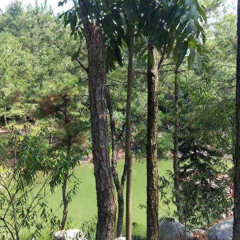 秋趣秋游  秋韵秋乐                                 ——记马滘中心园星星班之亲子游