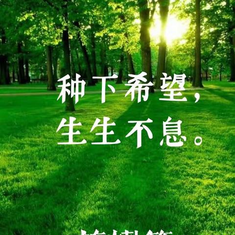 “植一抹绿色，溢一片春光”——太尉镇中心学校开展植树活动