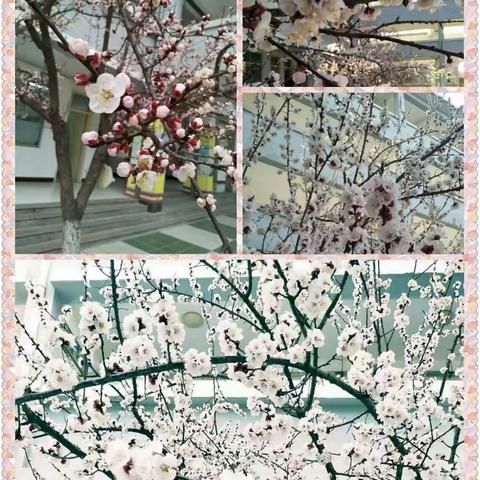 春暖花开的季节，我们走在成长的路上――――二年级数学组公开课纪实