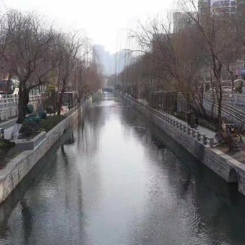 天桥区：扎实推进河道清理，努力营造靓丽水景